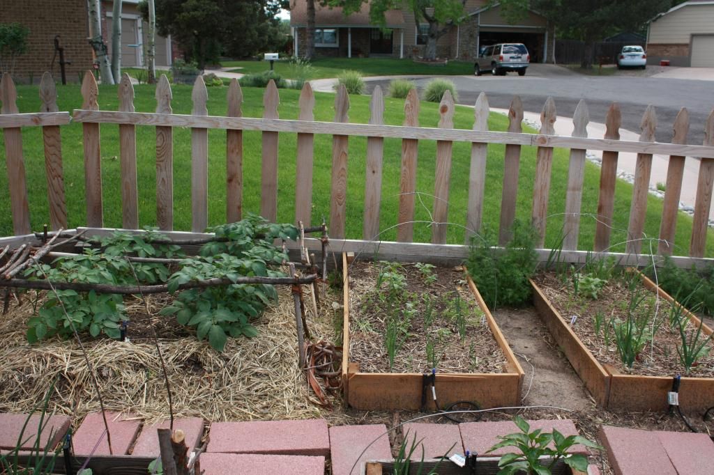  photo IMG_8266_zpsef401f20.jpg